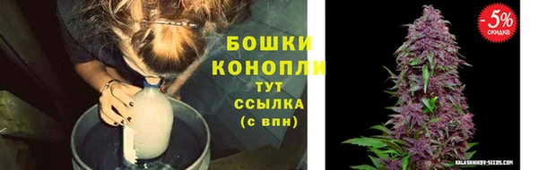 прущие грибы Абдулино