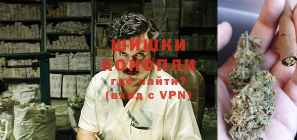 прущие грибы Абдулино