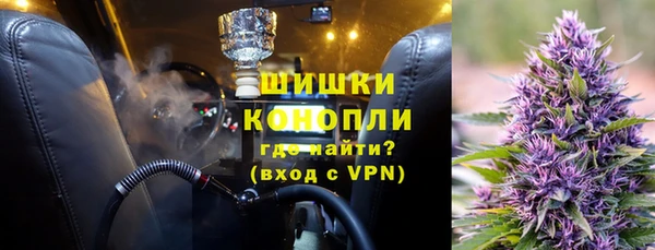 прущие грибы Абдулино
